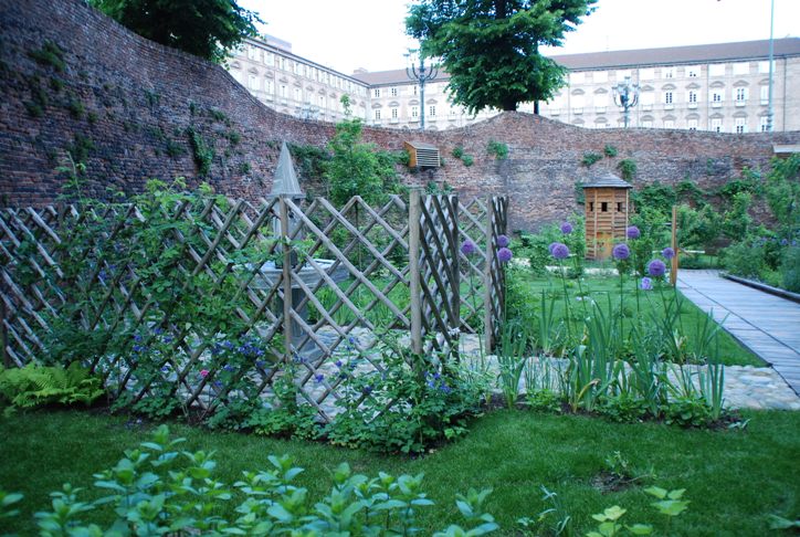 Seeds of love 2016 sguardo nel verde torino Piante disegno Giardino